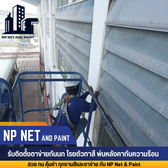 ตาข่ายกันตก (เปลตาข่าย) ตาข่ายกันตก (เปลตาข่าย)